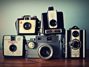 vintage-cameras-cabinet-of-curiosities