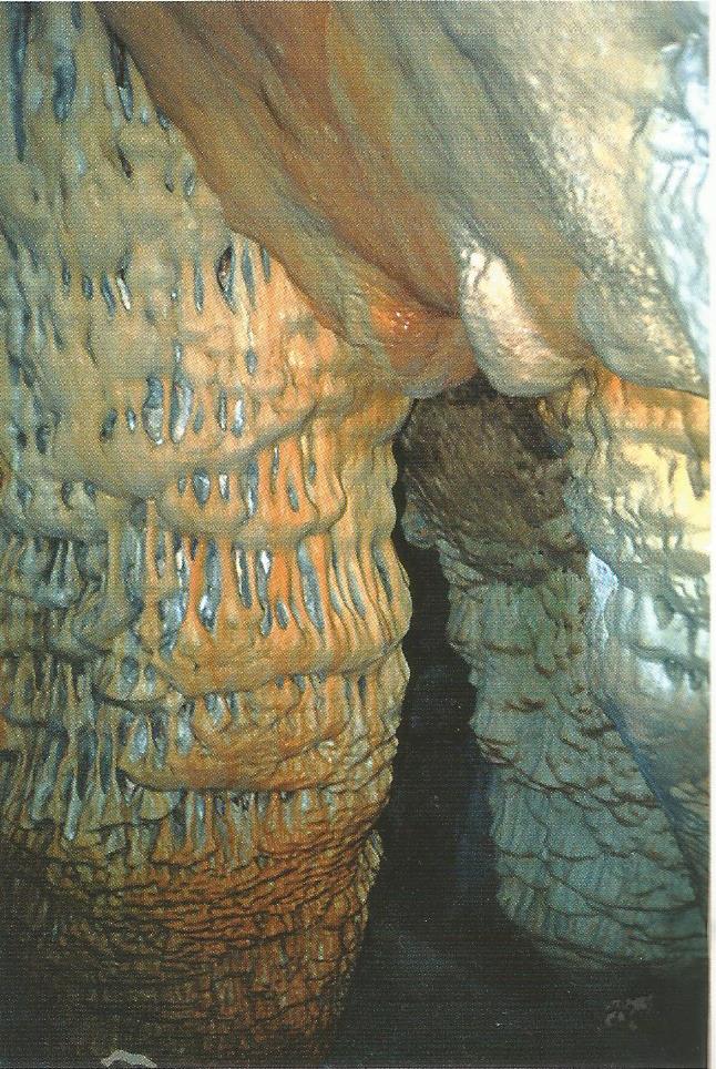 Σταλακτίτες στο Σπήλαιο Λιμνιώτη