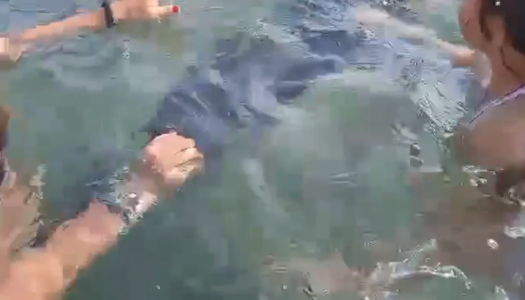 ΔΕΛΦΙΝΑΚΙ ΣΤΟΝ ΑΗ ΓΙΩΡΓΗ,  ΠΥΛΕΣ ΚΑΡΠΑΘΟΣ