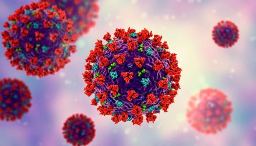 ΡΑΓΔΑΙΑ ΑΥΞΗΣΗ ΚΡΟΥΣΜΑΤΩΝ ΚΟΡΩΝΟΙΟΥ | Π.Ε ΚΑΡΠΑΘΟΥ ΒΡΕΘΗΚΑΝ 7