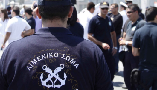 Συνελήφθη 25χρονη από στελέχη της Δίωξης Ναρκωτικών (Π.Ο.ΔΙ.Ν) για την συμμετοχή της σε διάπραξη κλοπής στην Κάρπαθο