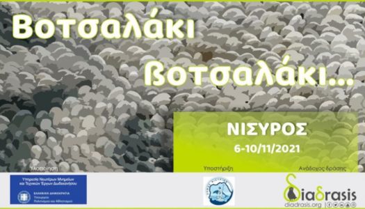 «Βοτσαλάκι, βοτσαλάκι…»Νίσυρος 6-10/11/2021