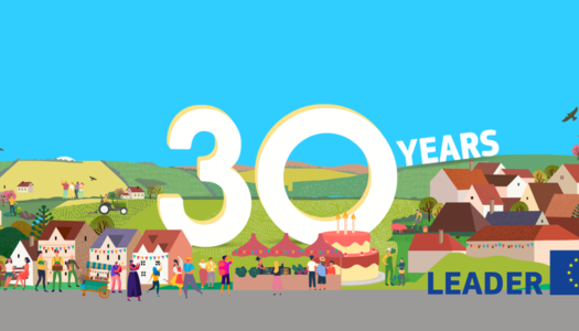 ΑΝ.ΔΩ ΑΕ: Εορτάσθηκαν τα 30 Χρόνια του Προγράμματος LEADER του Υπουργείο Αγροτικής Ανάπτυξης και Τροφίμων. Παρουσιάσθηκαν τα επιτεύγματα στην περιοχή μας από την ΑΝ.ΔΩ. Α.Ε.