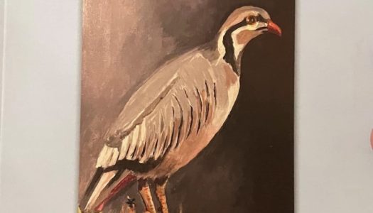 “OΙ ΜΑΝΤΙ(Ν)ΑΕΣ ΜΟΥ ” Νίκος Β. Παπαγεωργίου, από την Κάσο|Δωδεκανησιακή Ομοσπονδία Αμερικής/ Dodecanesian Federation of America