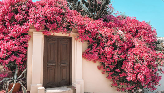 Δήμος Η.Ν.Κάσου: Ανακοίνωση για προκήρυξη ΑΣΕΠ 13Κ/2021 για την πλήρωση θέσεων εργασίας