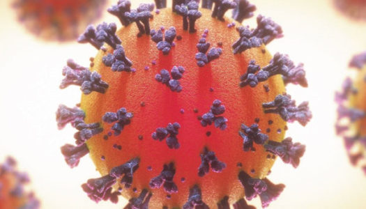 Πέντε (5) νέα κρούσματα κορονοιού στην Κάρπαθο