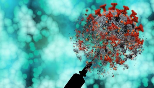 ΚΟΡΟΝΟΙΟΣ: 1 θετικός και 26 αρνητικοί στο Λιμάνι των Πηγαδίων Καρπάθου| Π.Ε Καρπάθου 7 κρούσματα κορονοιού