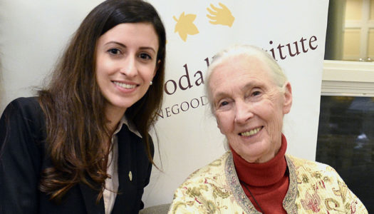 Dr Anna Katogiritis’ mission of hope | Meet Global Animal Advocate Dr Anna Katogitis