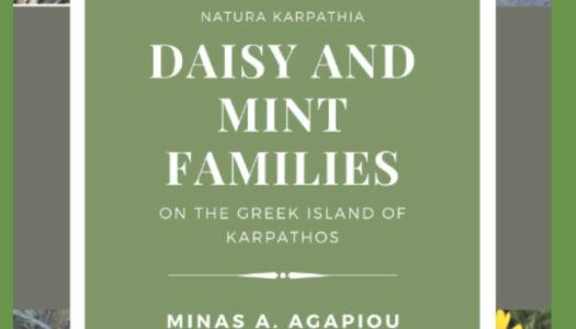 Έκδοση τρίτου βιβλίου “Daisy and Mint families on Karpathos island” από τον κ.Μηνά Α. Αγάπιου.