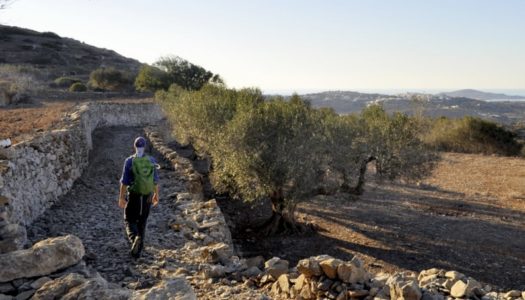 H.N. KAΣΟΣ: Θερινά  Προγράμματα Αθλητικών μονοπατιών