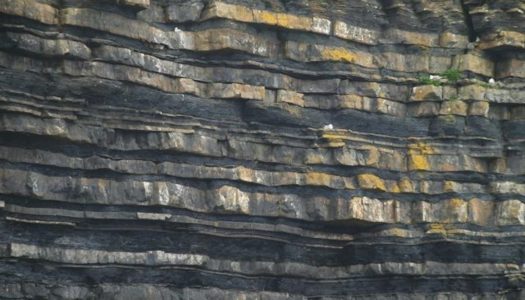 Γιάννης Χαλκιάς: Στρώματα βράχων στην παραλία μας, του Αγίου Νικολάου Σπόων Καρπάθου