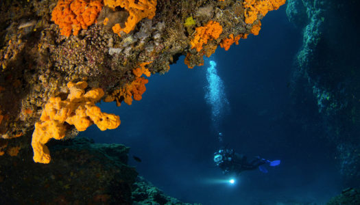 Με περισσότερες από 100 φωτογραφίες του πλούσιου βυθού του Νοτίου Αιγαίου ολοκληρώθηκε ο διαγωνισμός Υποβρύχιας Φωτογραφίας της Περιφέρειας Νοτίου Αιγαίου