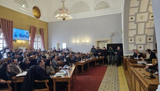 Ομόφωνα οι παρατάξεις του Περιφερειακού Συμβουλίου Νοτίου Αιγαίου ψήφισαν υπέρ της ανάγκης μείωσης του αριθμού των ελαφιών στο νησί της Ρόδου