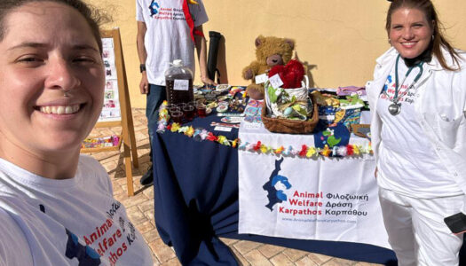 Animal Welfare Karpathos – Φιλοζωική Δράση Καρπάθου στην Καρναβαλική εκδήλωση του Δήμου Καρπάθου