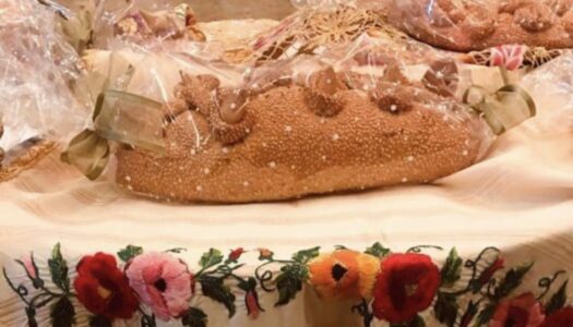 Άννα Σακελλαρίδη: Μια μέρα στην Κάρπαθο