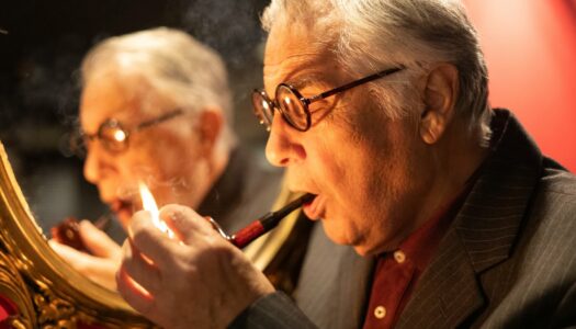 Θεοδόσης Πελεγρίνης: “Τυχαίοι Έρωτες”