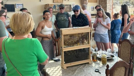Vagelis Gergatsoulis – My Roots – Karpathos Travel: Μια ξεχωριστή εμπειρία στο μελισσοκομικό πάρκο Gergatsoulis Honey