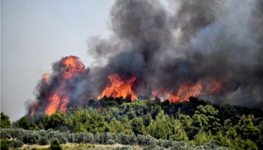 Αντιπυρική Περίοδος 2026:  Χάρτης Πρόβλεψης Κινδύνου Πυρκαγιάς – Περιοχές απαγόρευσης κυκλοφορίας