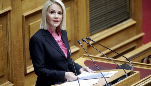 Την άμεση ανάγκη ενίσχυσης των Επιτροπών Εξέτασης Αντιρρήσεων για τους δασικούς χάρτες στα Δωδεκάνησα, έθεσε στον Υπουργό Περιβάλλοντος και Ενέργειας η Μίκα Ιατρίδη