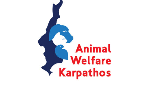 Φιλοζωική Δράση Καρπάθου: Πρόγραμμα Στειρώσεων 2026