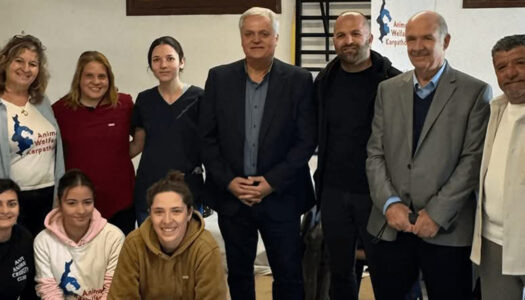 Αποτελέσματα Προγράμματος | Press Release: Animal Welfare Karpathos Successfully Completes /February 2026