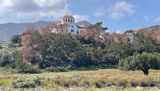 Μιχάλης Μικρός Μικροπανδρεμένος: Ξήρανση Δασών – Οικολογική Καταστροφή χωρίς τέλος