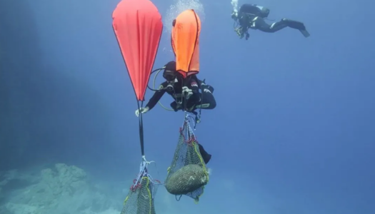 CNN Greece: Στο «φως» ιστορία 26 αιώνων: Αρχαία ευρήματα στο βυθό της Κάσου και της Καρπάθου